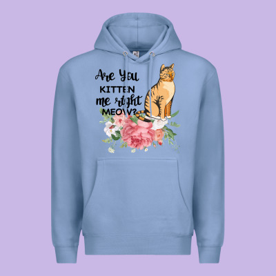 Are You Kitten Me Right Meow Premium Hoodie Designed By Bettercallsaul