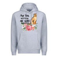 Heather Grey Are you kitten me right meow Premium Hoodie - Bettercallsaul