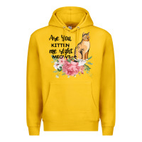 Lemon Are you kitten me right meow Premium Hoodie - Bettercallsaul