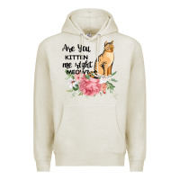 Oatmeal Heather Are you kitten me right meow Premium Hoodie - Bettercallsaul