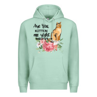 Seafoam Are you kitten me right meow Premium Hoodie - Bettercallsaul