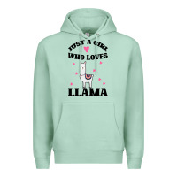 Seafoam Llama Just A Girl Who Loves Llamas Premium Hoodie - Bettercallsaul