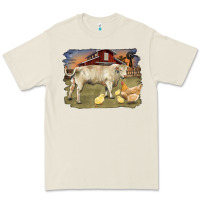 Bone charolaris bull and chicken in barnyard Premium Tee - RanaPortraitStore