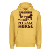 Antique Gold I Promise Honey This Is My Last Horse Premium Hoodie - Bettercallsaul