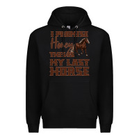 Black I Promise Honey This Is My Last Horse Premium Hoodie - Bettercallsaul