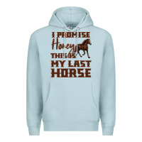 I Promise Honey This Is My Last Horse Premium Hoodie | Teevron