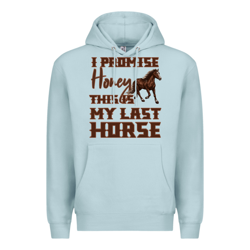 I Promise Honey This Is My Last Horse Premium Hoodie by Bettercallsaul | Teevron
