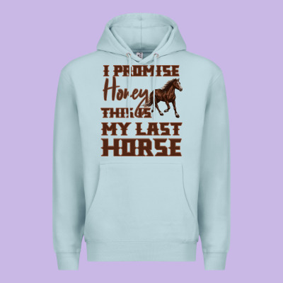I Promise Honey This Is My Last Horse Premium Hoodie Designed By Bettercallsaul