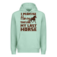 Seafoam I Promise Honey This Is My Last Horse Premium Hoodie - Bettercallsaul