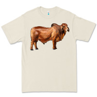 Bone brahman bull Premium Tee - RanaPortraitStore