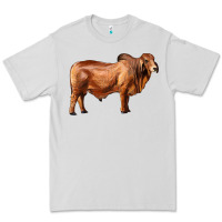 Dove Grey brahman bull Premium Tee - RanaPortraitStore
