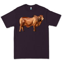 Plum brahman bull Premium Tee - RanaPortraitStore
