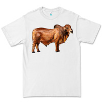 White brahman bull Premium Tee - RanaPortraitStore