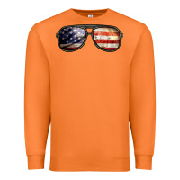 Carrot amerıcan flag glasses Premium Sweatshirt - BarkalooDesign