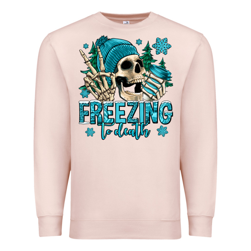 Freezing To Death Winter Skull Premium Sweatshirt by Jasminsmagicworld | Teevron