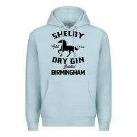 Blue Mist Horse Premium Hoodie - Bettercallsaul