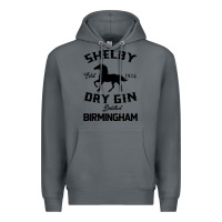 Rock Horse Premium Hoodie - Bettercallsaul