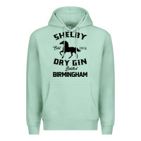 Seafoam Horse Premium Hoodie - Bettercallsaul