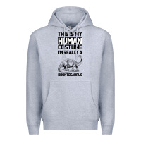 Heather Grey This Is My Human Costume Im Really A Brachiosaurus Premium Hoodie - Bettercallsaul
