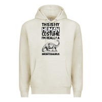 Oatmeal Heather This Is My Human Costume Im Really A Brachiosaurus Premium Hoodie - Bettercallsaul