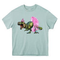 Arona balerina t rex dinosaur with tutu Heavy Core Tee - RanaPortraitStore