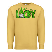 Antique Gold lucky gnome st patricks day Premium Sweatshirt - Jasminsmagicworld