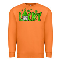 Carrot lucky gnome st patricks day Premium Sweatshirt - Jasminsmagicworld