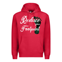 Cardinal Climate Change Reduce Your Carbon Footprint Gift Premium Hoodie - Bettercallsaul