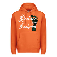 Carrot Climate Change Reduce Your Carbon Footprint Gift Premium Hoodie - Bettercallsaul