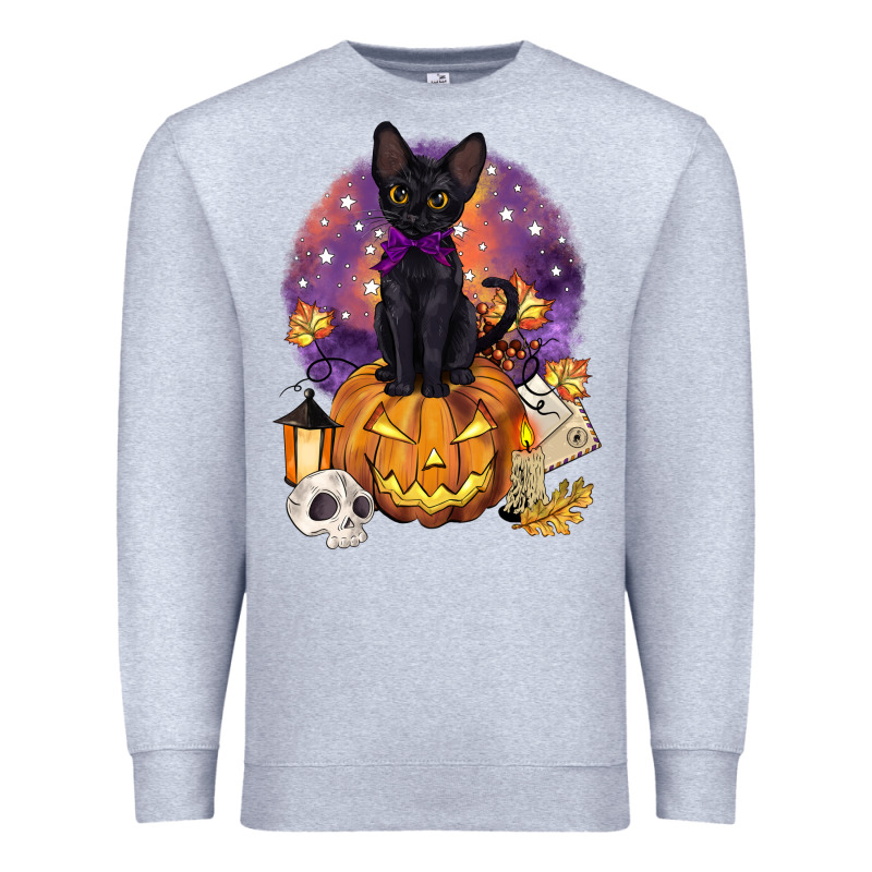 Halloween Black Cat Pumpkin Premium Sweatshirt by BarkalooDesign | Teevron