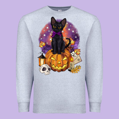 Halloween Black Cat Pumpkin Premium Sweatshirt Designed By Barkaloodesign