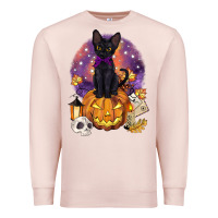 Pale Pink halloween black cat pumpkin Premium Sweatshirt - BarkalooDesign