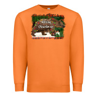 Carrot merry christmas bear Premium Sweatshirt - BarkalooDesign