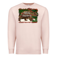 Pale Pink merry christmas bear Premium Sweatshirt - BarkalooDesign