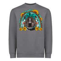 Storm western pitbull rainbow Heavyweight Sweatshirt - Artiststas