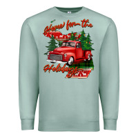 Seafoam home for the holidays michigan Premium Sweatshirt - BarkalooDesign