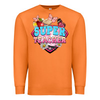 Carrot super teacher Premium Sweatshirt - BarkalooDesign