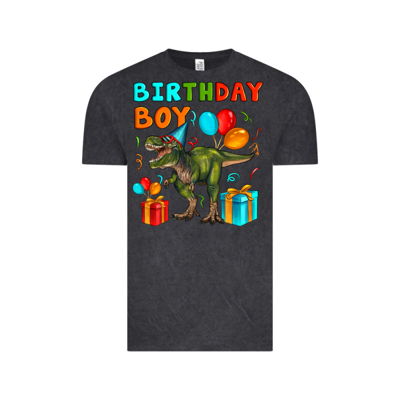 Birthday Boy T Rex Vintage Tee by Artiststas | Teevron