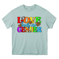 Arona love has no gender pride lgbtq Heavy Core Tee - texasbilliewilder