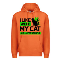 Carrot Cat Weed I Like My Cat Gift Premium Hoodie - Bettercallsaul