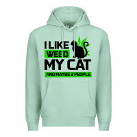 Seafoam Cat Weed I Like My Cat Gift Premium Hoodie - Bettercallsaul