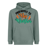 Sage promoted to big brother Heavyweight Hoodie - Artiststas