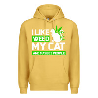 Antique Gold Cat Weed I Like My Cat Gift Premium Hoodie - Bettercallsaul