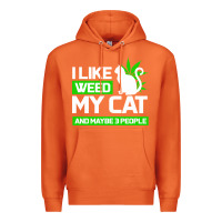 Carrot Cat Weed I Like My Cat Gift Premium Hoodie - Bettercallsaul
