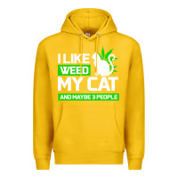 Lemon Cat Weed I Like My Cat Gift Premium Hoodie - Bettercallsaul