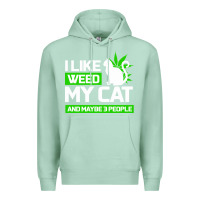 Seafoam Cat Weed I Like My Cat Gift Premium Hoodie - Bettercallsaul