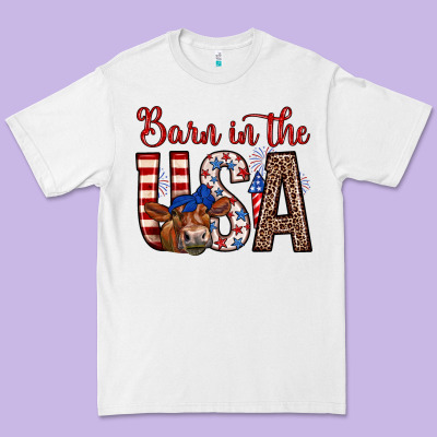 Barn In The Usa Premium Tee Designed By Zillion Design Studio