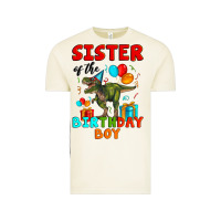 Vintage Arctic sister of the birthday boy t rex Vintage Tee - Artiststas