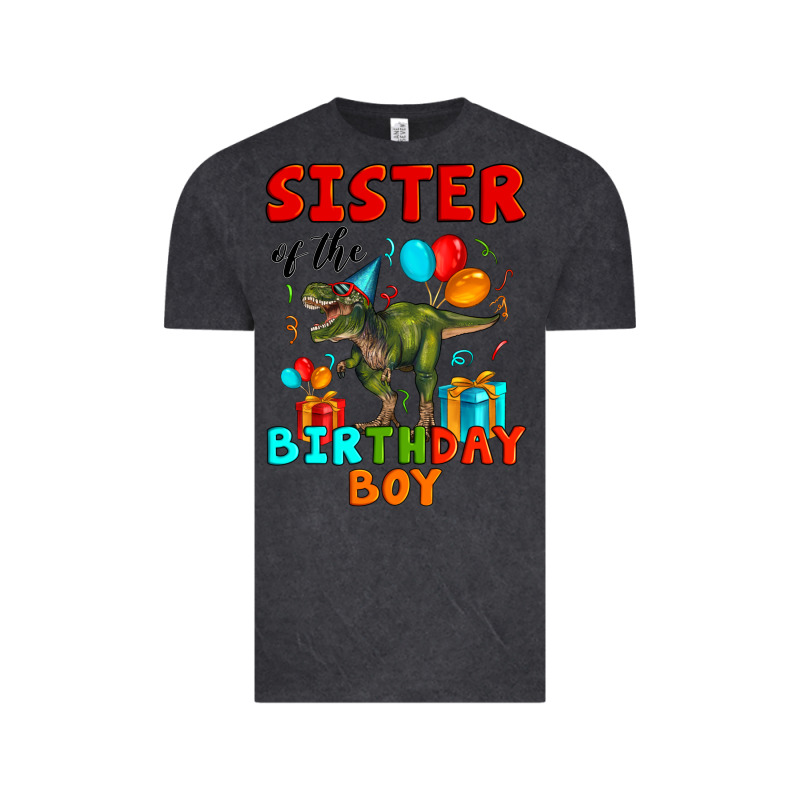 Sister Of The Birthday Boy T Rex Vintage Tee by Artiststas | Teevron