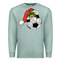 Seafoam Christmas sports Premium Sweatshirt - BarkalooDesign